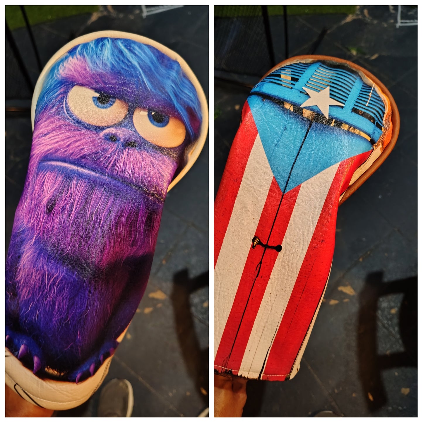 Puerto Rico Driver Cover