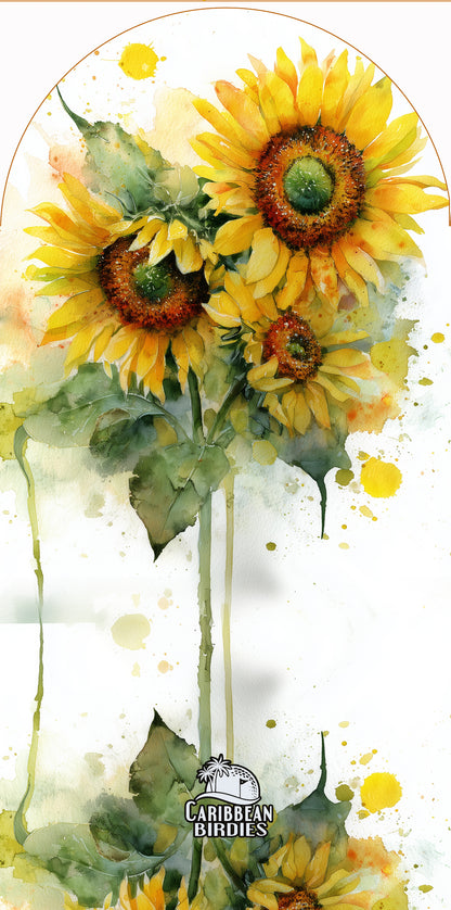 Flowers and Mushrooms