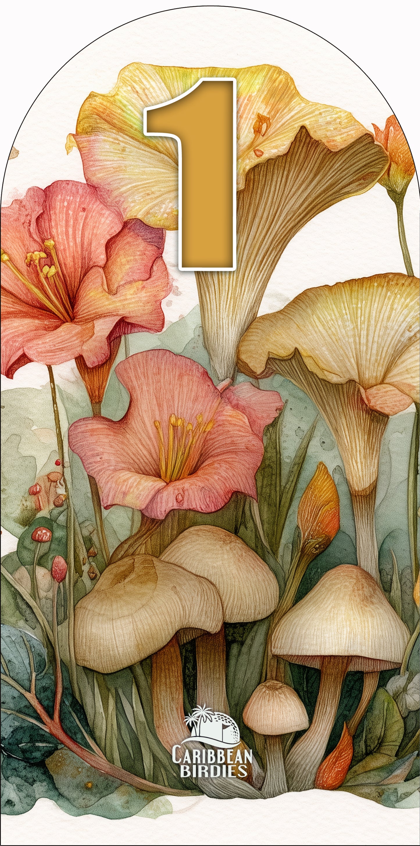 Flowers and Mushrooms