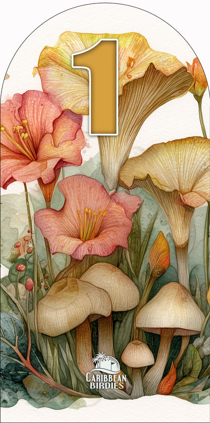 Flowers and Mushrooms