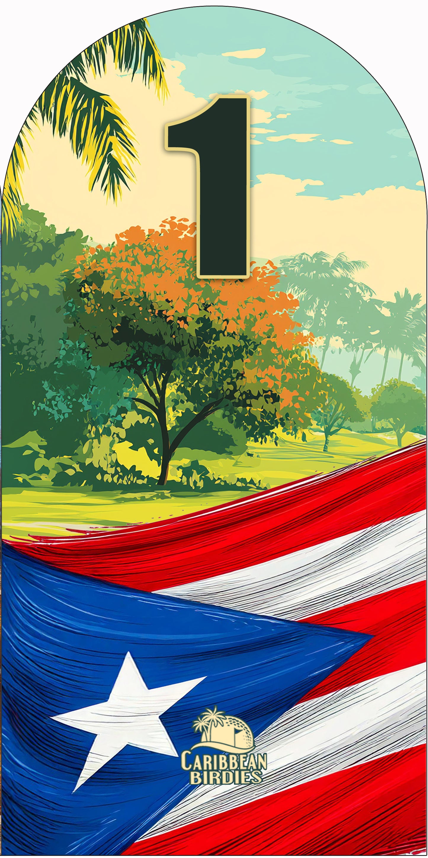 Puerto Rico Headcovers