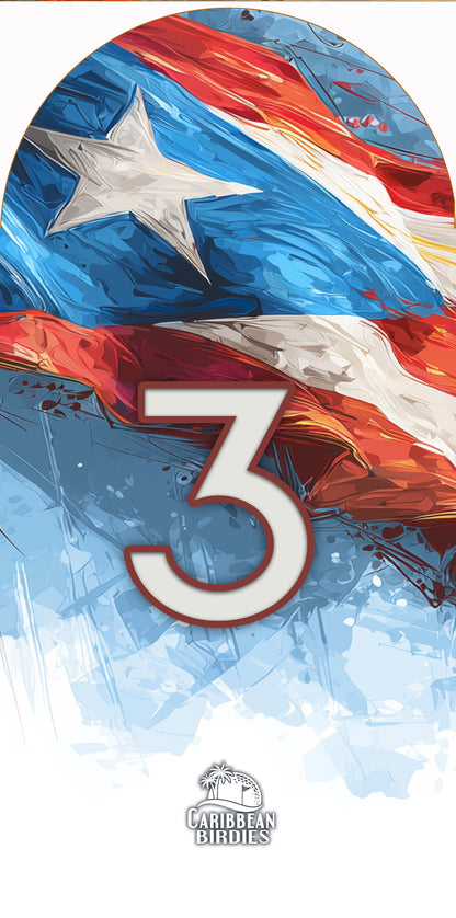 Puerto Rico  Driver and Woods Headcovers