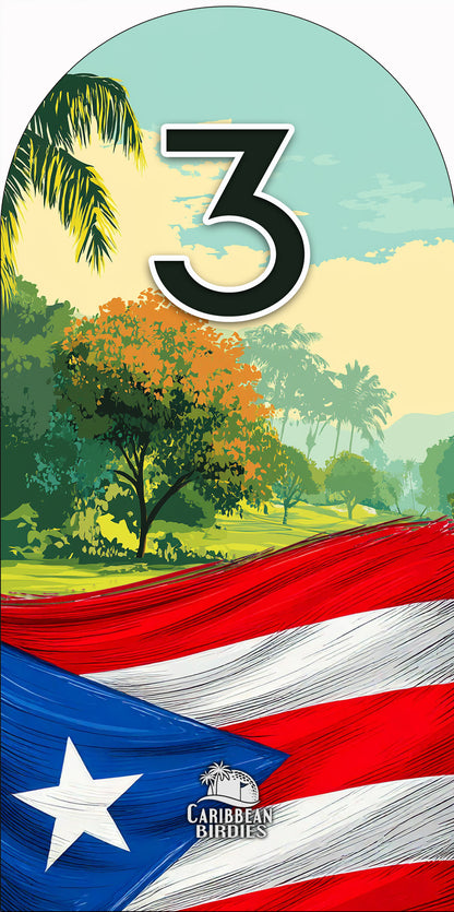 Puerto Rico  Driver and Woods Headcovers